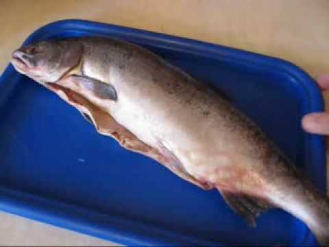 How to salt salmon at home - 8 step-by-step recipes