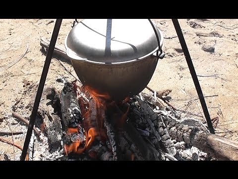 Øre fra laks, karpe, crucian karpe, abbor - oppskrifter