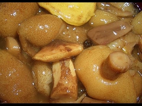 How to cook butter mushrooms - fry, pickle, cook