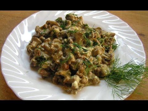 Chanterelles, cèpes, pleurotes - recettes de cuisine étape par étape