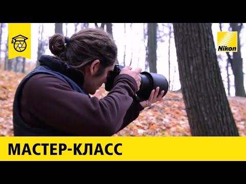 Ako sa naučiť profesionálne fotografovať