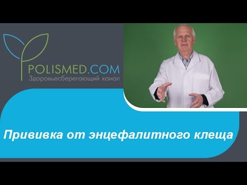 Làm thế nào để bảo vệ bản thân khỏi ve bằng các biện pháp dân gian và mua hóa chất