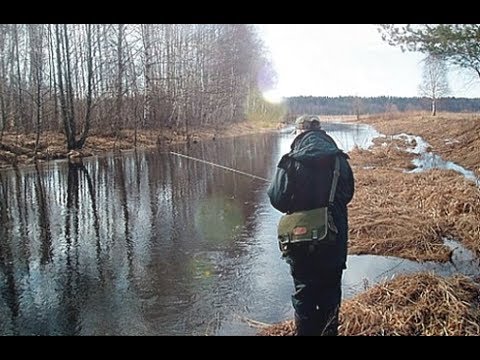 Kako uloviti krstaša u lovu na štap - savjeti ribolovaca