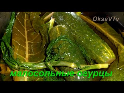 How to make salted cucumbers at home