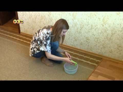 How to clean a carpet at home quickly and efficiently