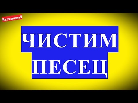 Những cách tốt nhất để làm sạch lông cáo