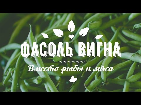 Lợi ích và tác hại của các loại đậu khác nhau