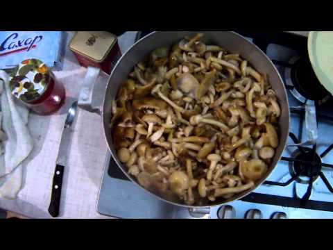 Salt, cook, fry and dry mushrooms