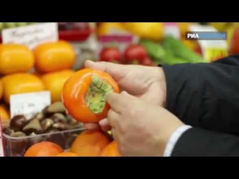 What is the benefit of persimmon for the body