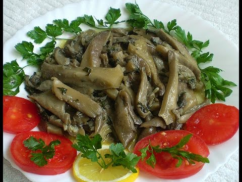 Pleurotes - recettes de cuisine, avantages, comment grandir