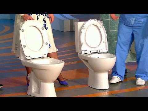 Comment choisir la bonne toilette - conseils d'experts