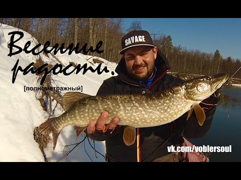 Sådan fanges en gedde - tip fra professionelle fiskere