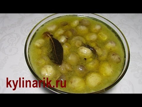 Sådan pickle champignons derhjemme