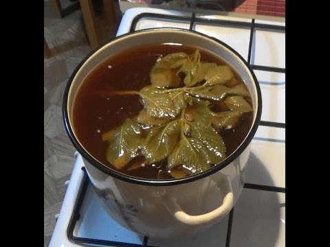 Cách làm kvass từ rau diếp xoăn - 4 công thức nấu ăn từng bước với video