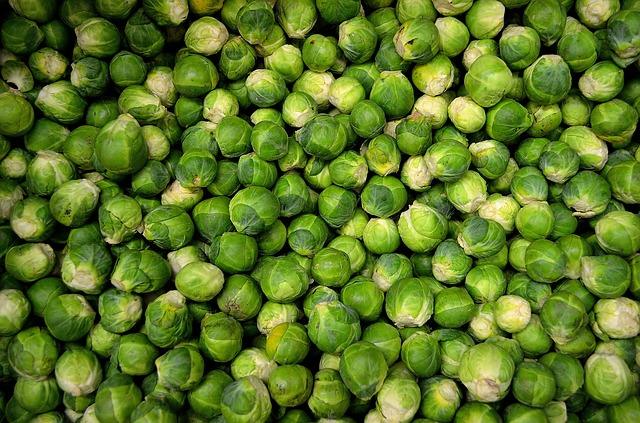 Brussels sprouts photo