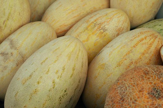 Melons - Torpilles