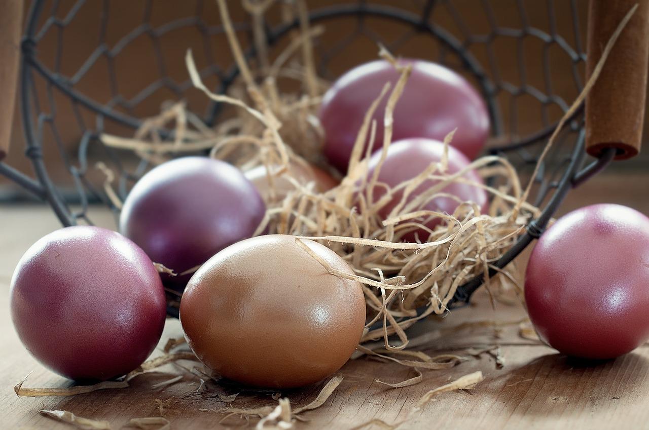 Learning to boil eggs properly