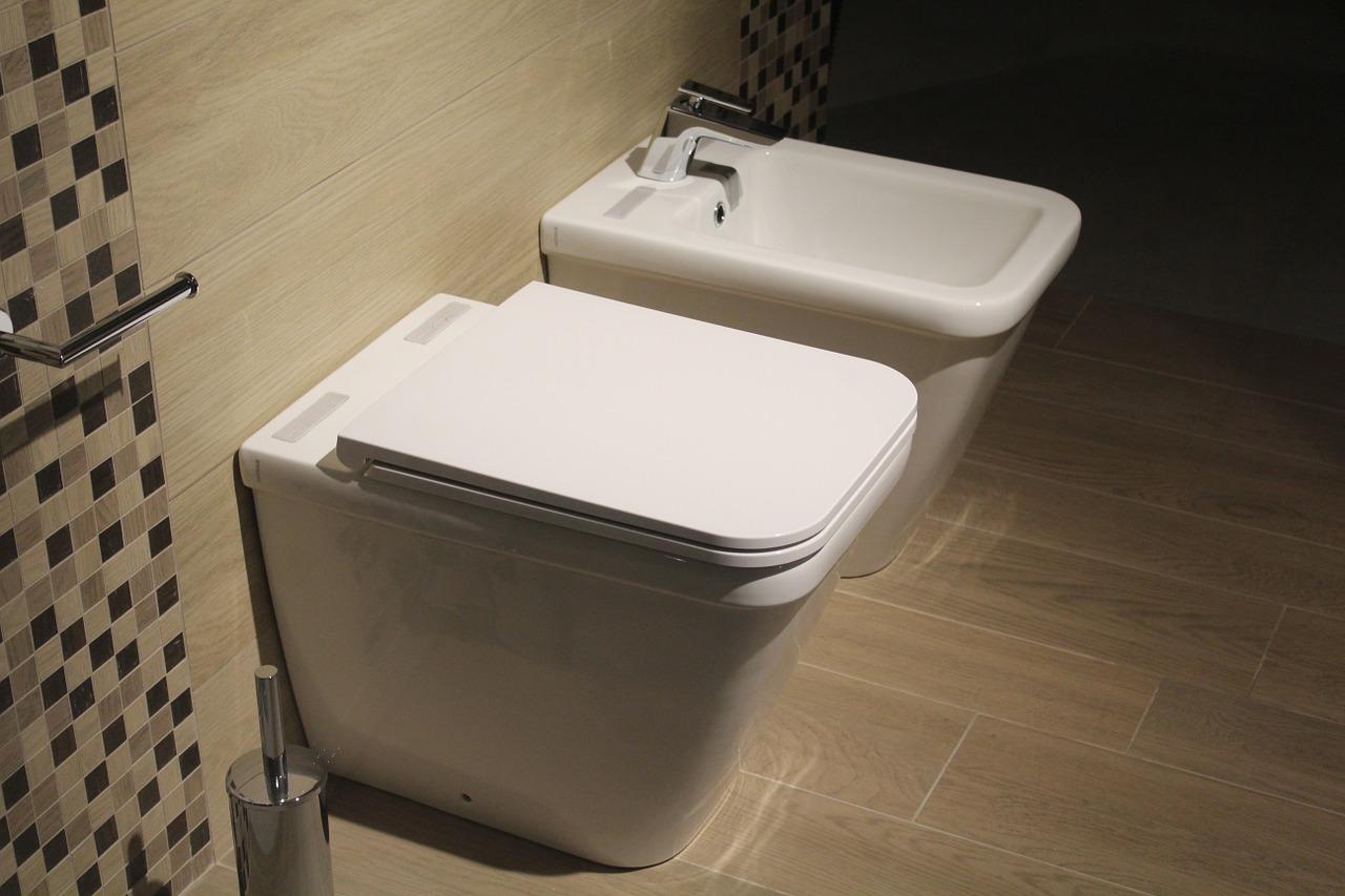 Photo of a stylish toilet and bidet