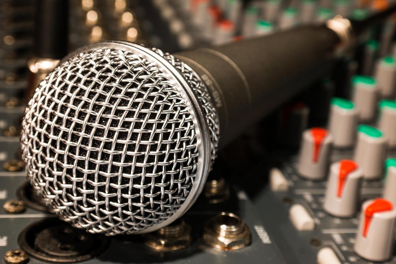 Microphone professionnel