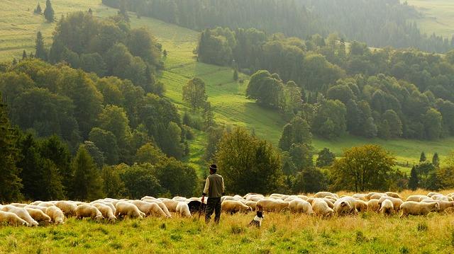 Belle campagne