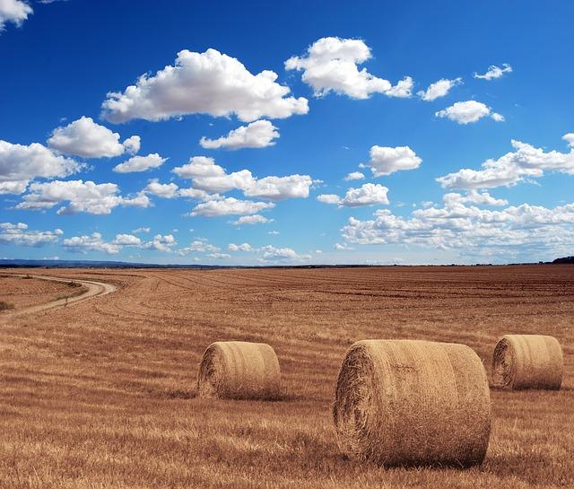 Beautiful haystacks