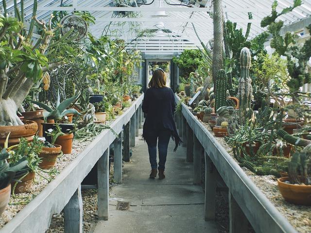 Cactus greenhouse