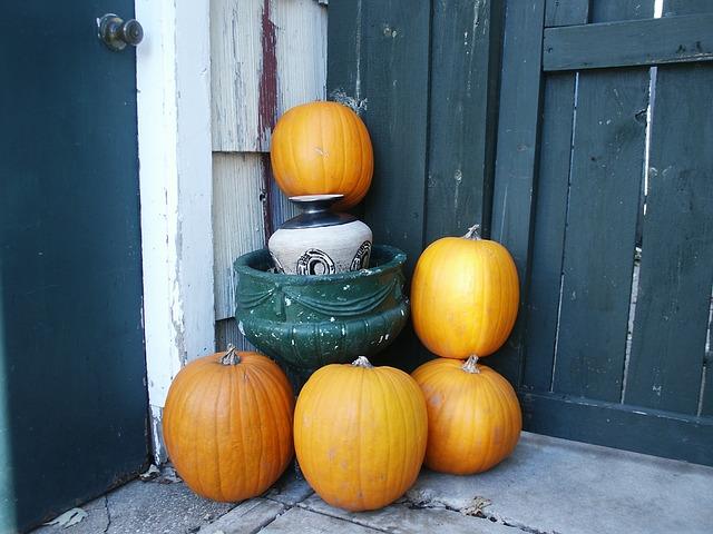 Des citrouilles avant Halloween