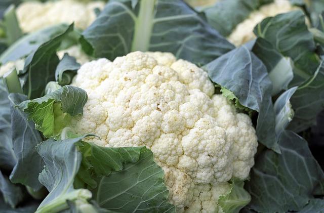 Beautiful head of cauliflower