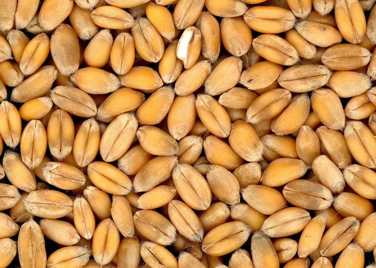 How to cook pearl barley