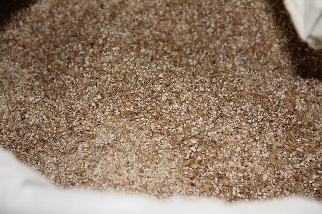 Photo of malt for kvass wort