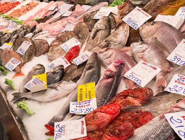 Assortiment de poissons de mer dans le magasin