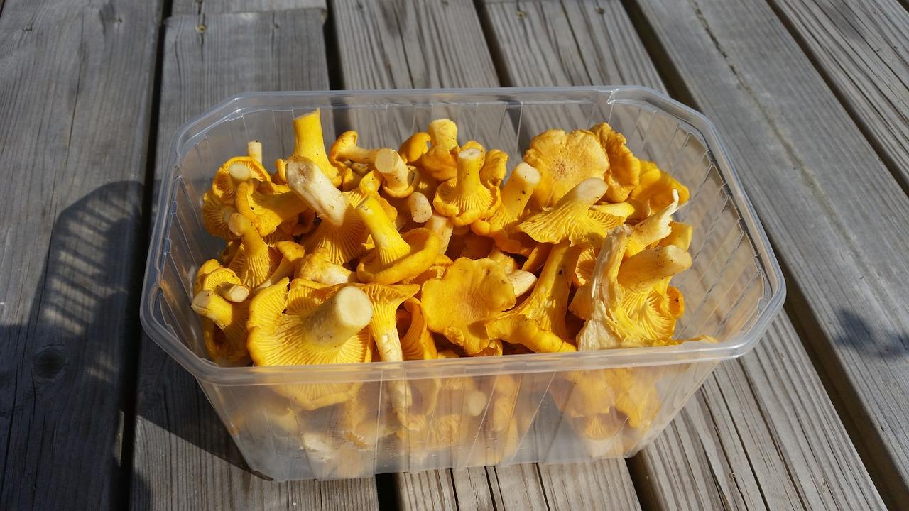 Comment saler les girolles à la maison