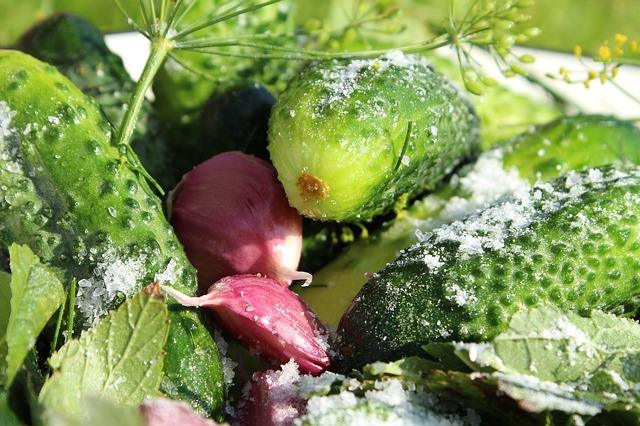 Photo of salted cucumbers