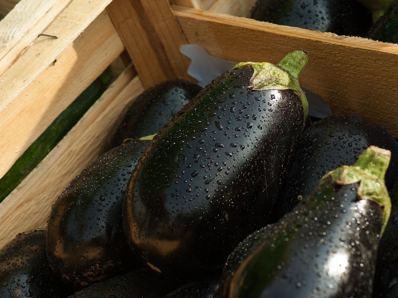 Hvordan salte aubergine om vinteren