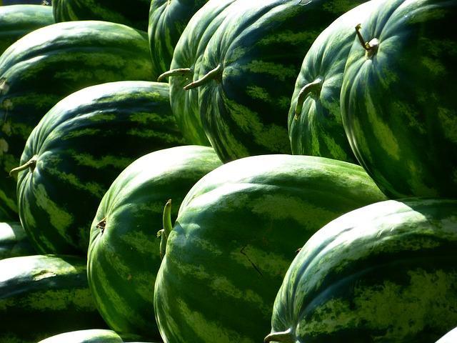 Watermelons on the counter