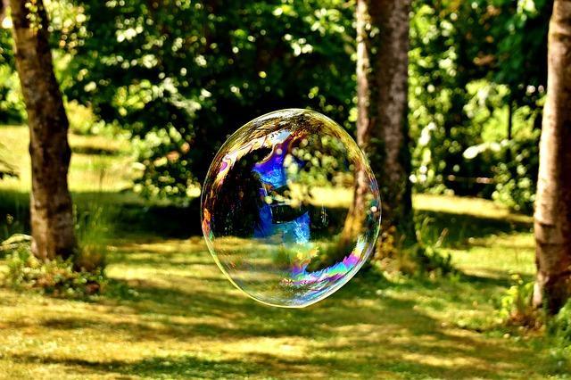 Bulle de savon dans la forêt