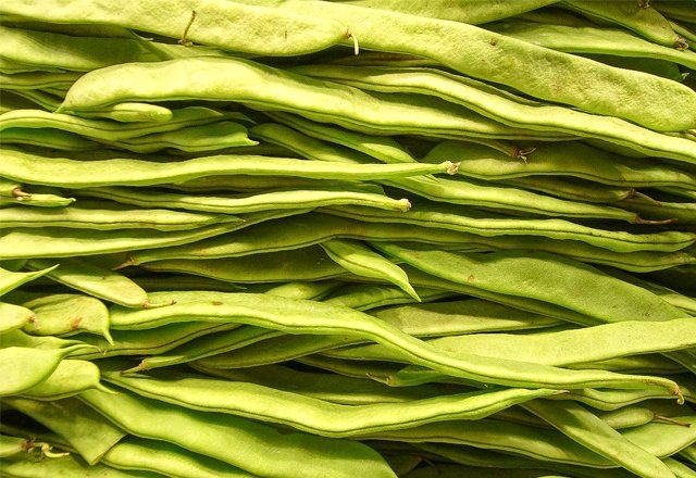 Photo de haricots verts