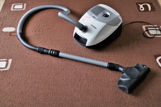 Palace Vacuum Cleaner