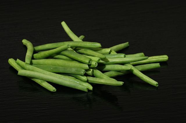 Gousses de haricots verts