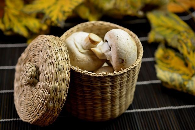 Champignons dans un beau panier