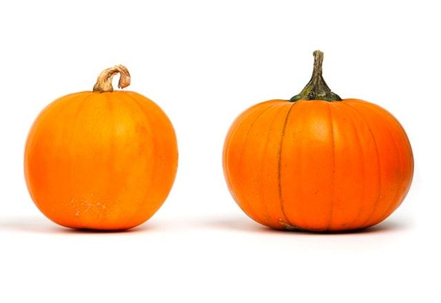 Two pumpkins