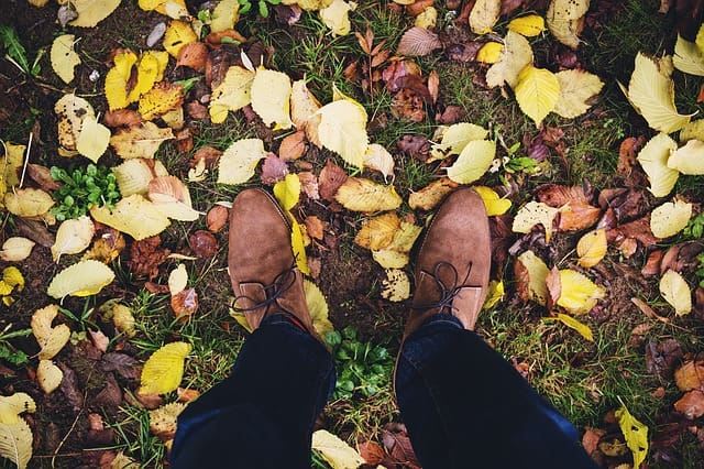 Photo of suede shoes