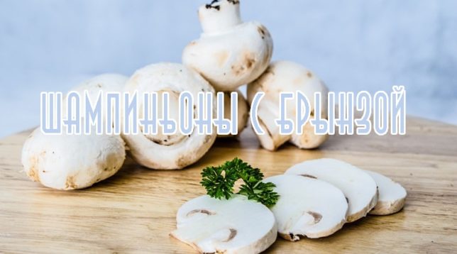 Champignons