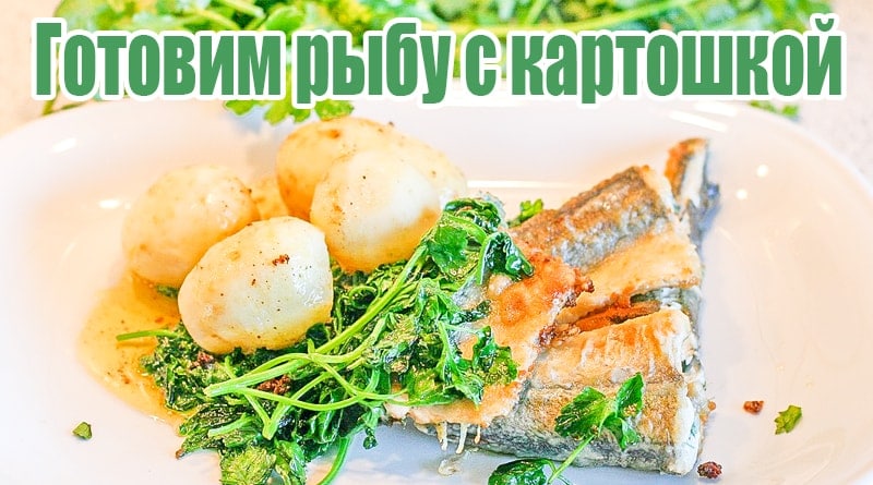 Fish with potatoes and greens on a dish