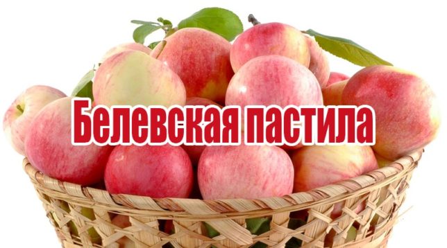 Basket with apples