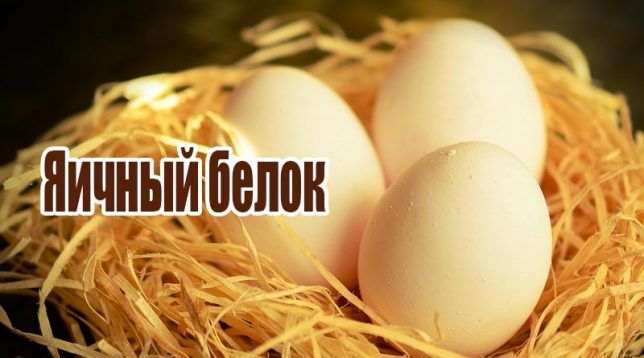 Chicken eggs