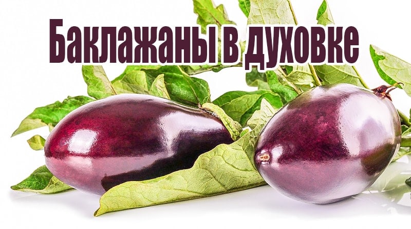 Aubergine