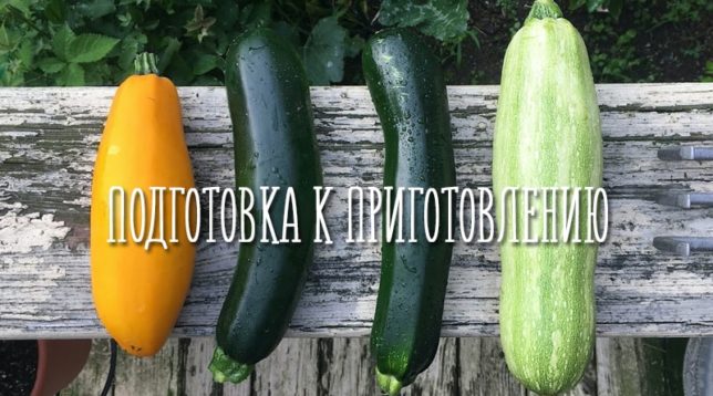 Forskellige typer courgette